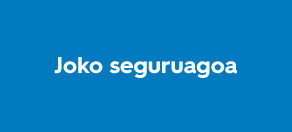 Joko Seguruagoaren Kudeaketa